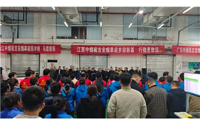 春供保障进行时｜科盛工程师驻守一线，助力烟草高效分拣